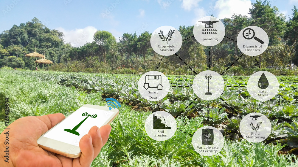 AgriTech Innovations Transforming Agriculture