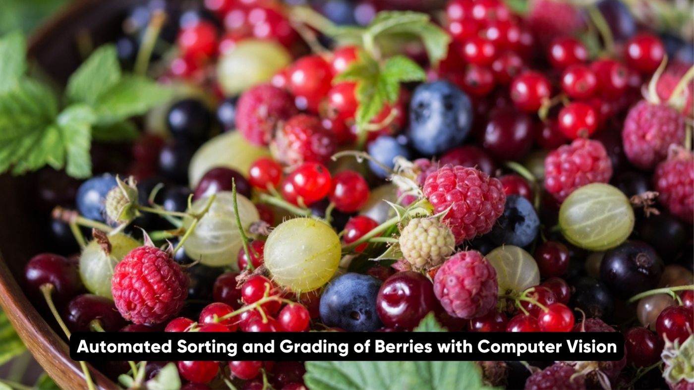 Automated Sorting and Grading of Berries with Computer Vision