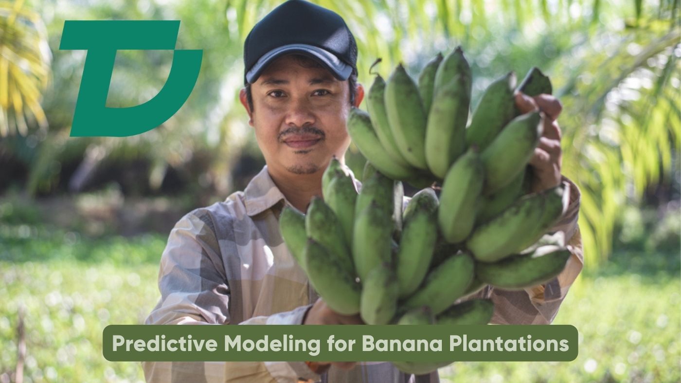 Predictive Modeling for Banana Plantations