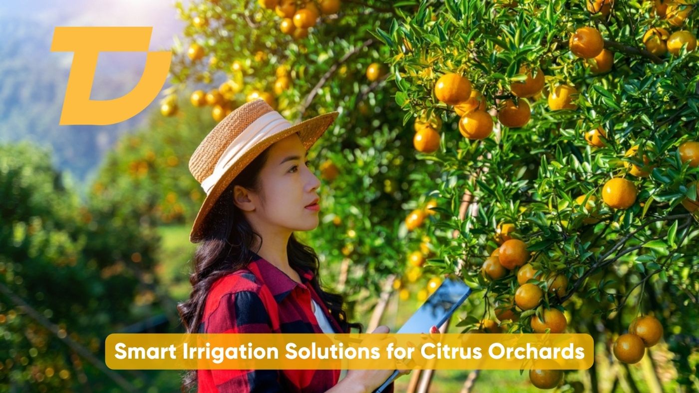 Smart Irrigation Solutions for Citrus Orchards